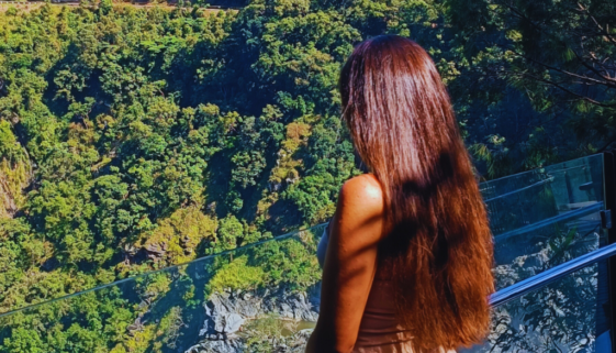 World's oldest rainforest