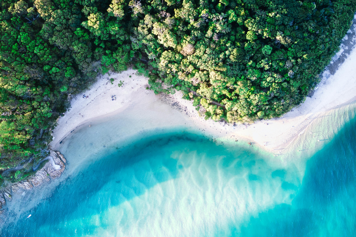 Daintree Rainforest