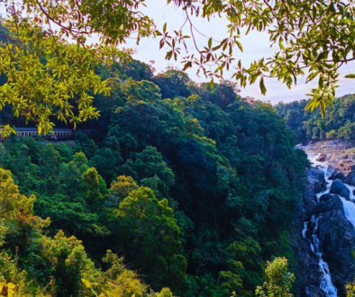 The Most Scenic Train Rides In The World