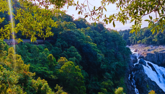 The Most Scenic Train Rides In The World