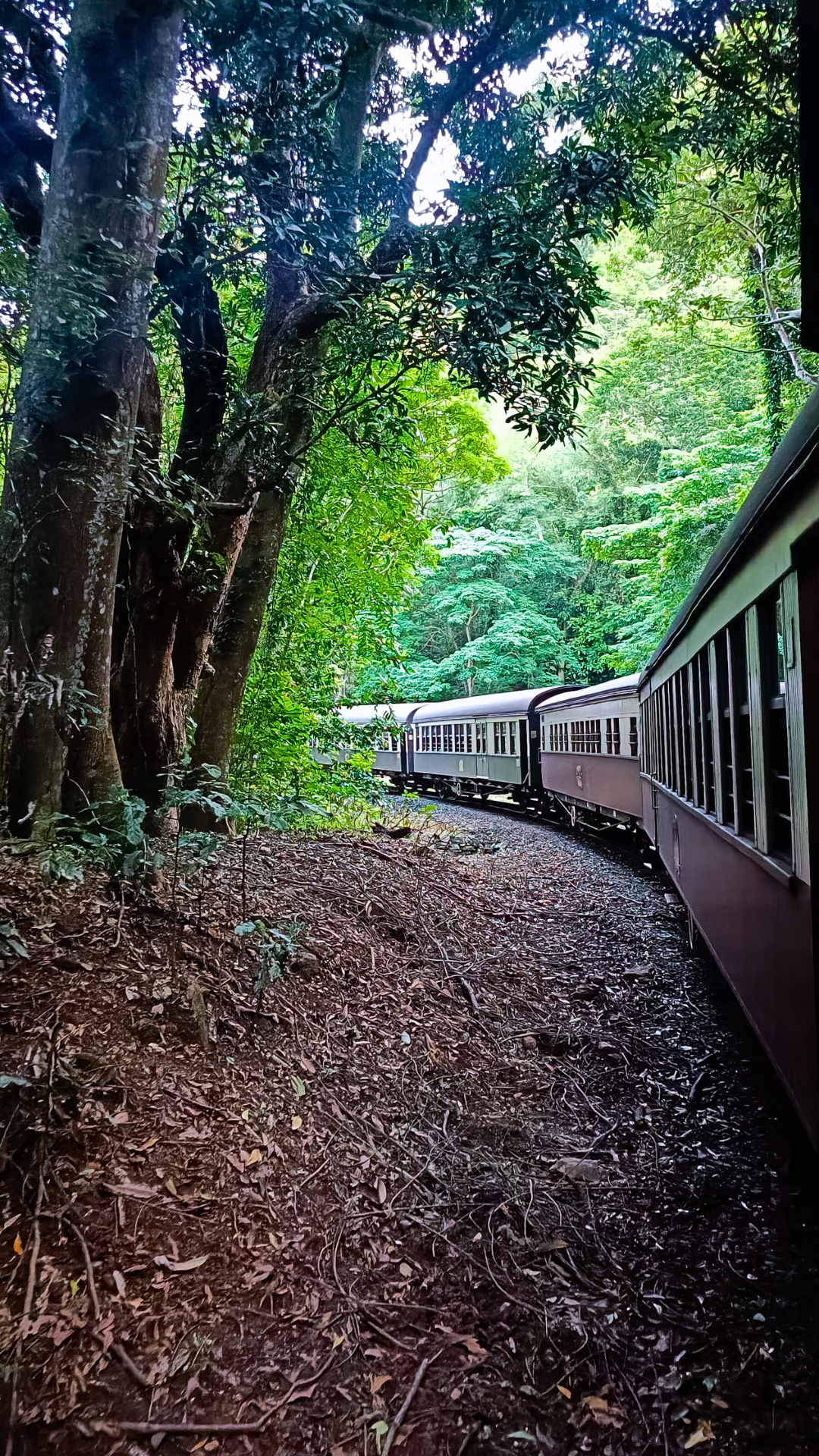 Kuranda Scenic Railway