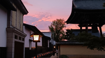 Fox Wedding Festival