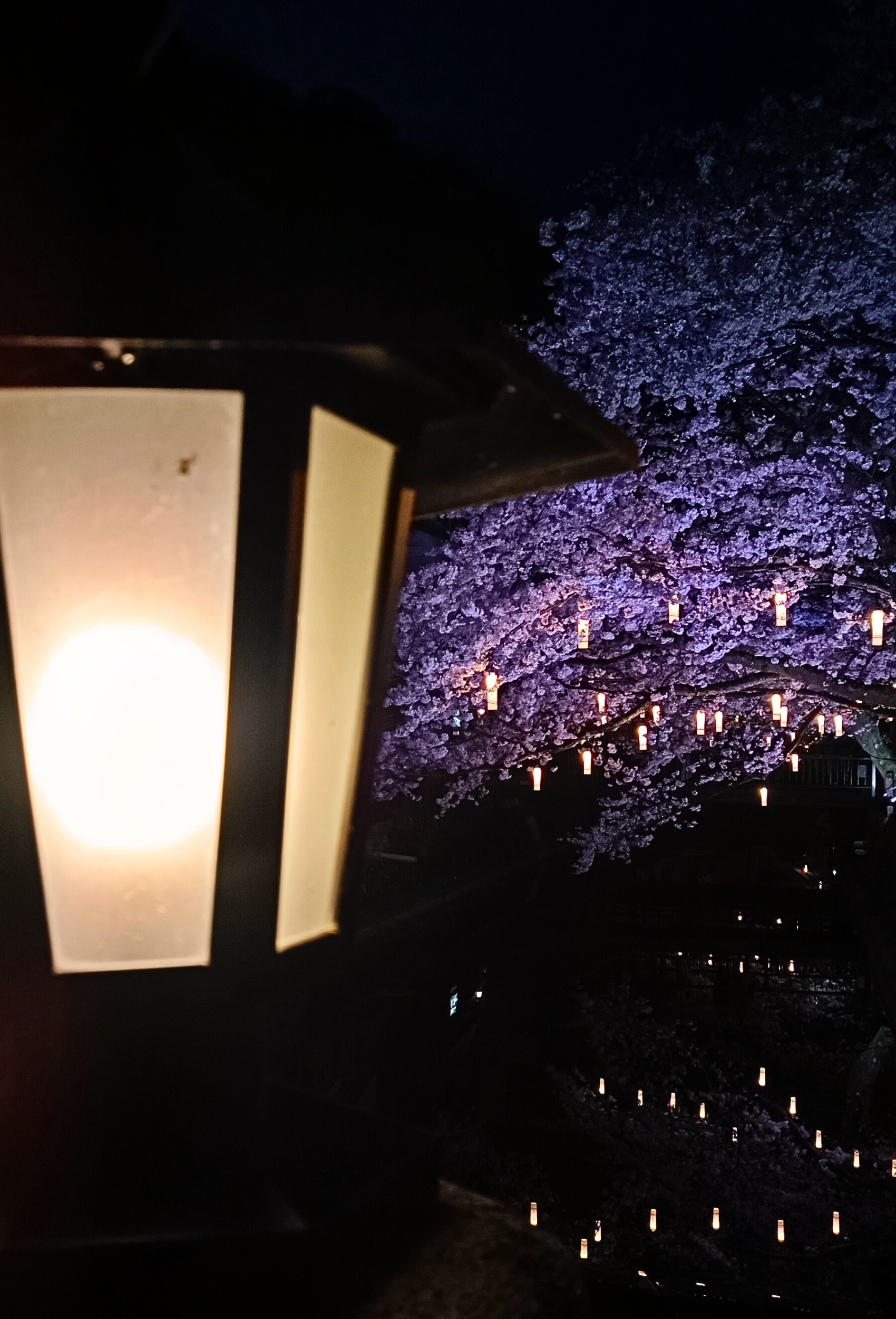 Kinosaki Onsen