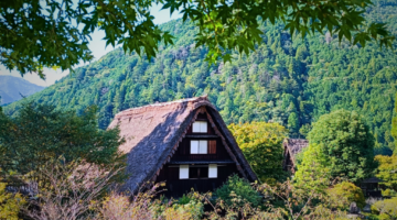 Most Beautiful Towns to Visit in Japan's Countryside