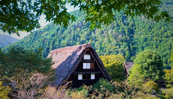 Most Beautiful Towns to Visit in Japan's Countryside
