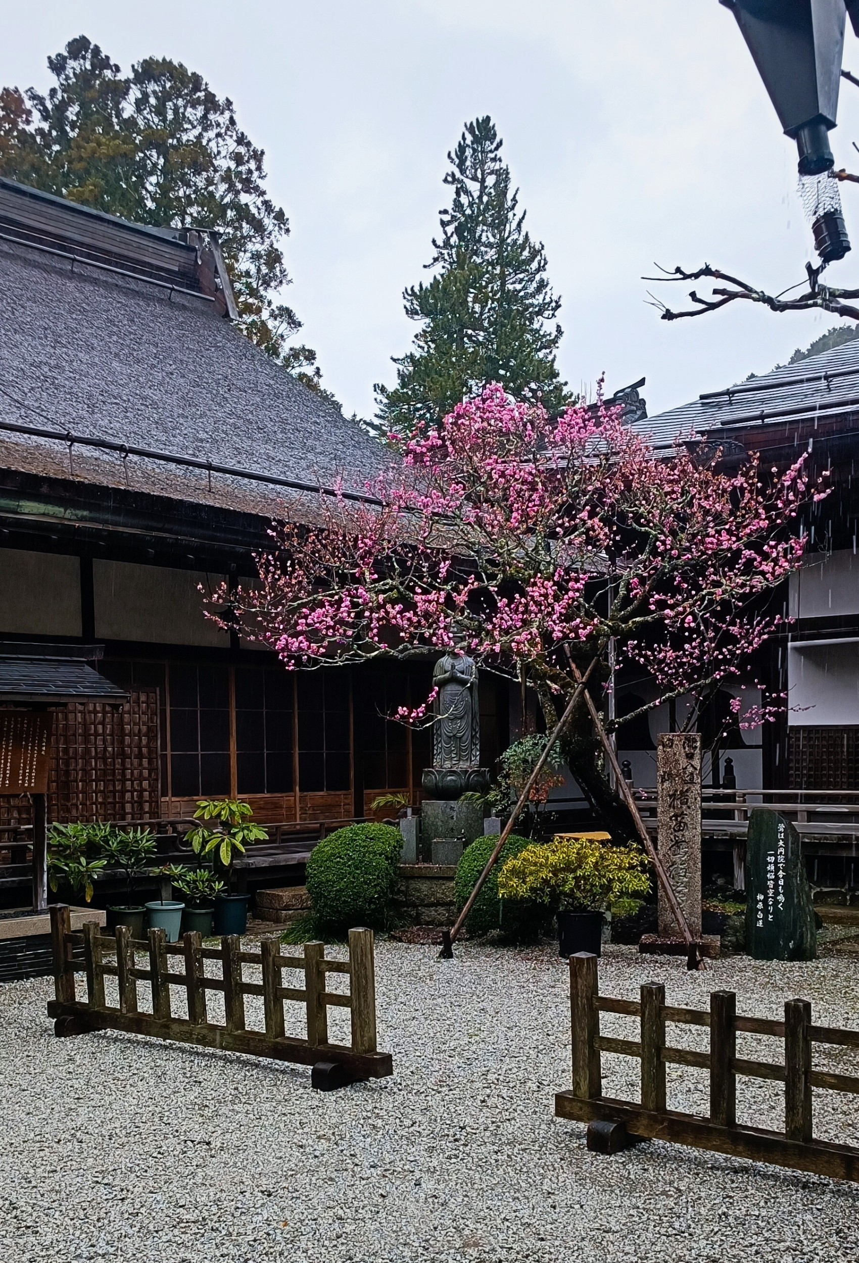 Koyasan