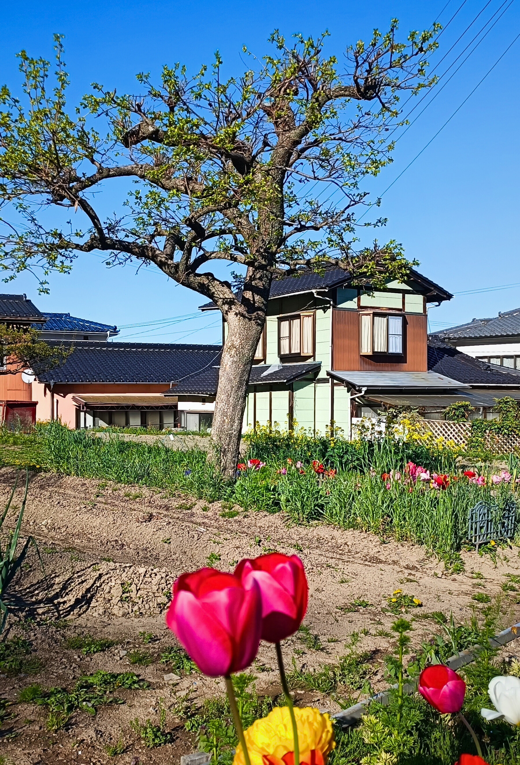 Bessho Onsen