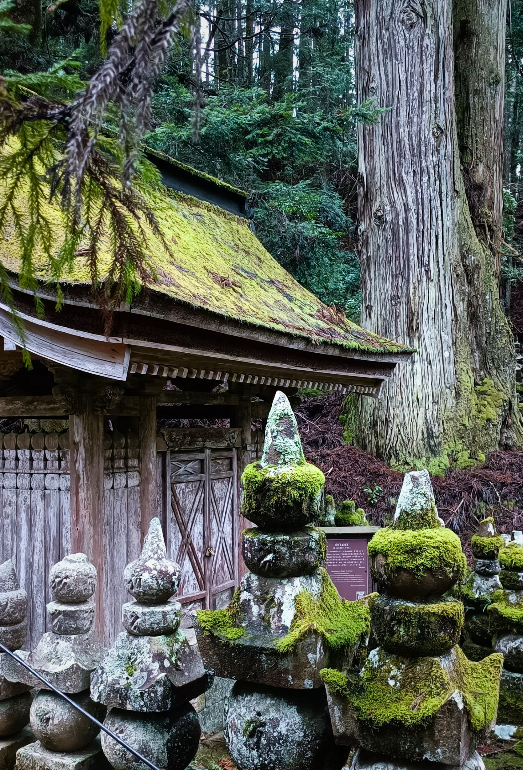 Koyasan