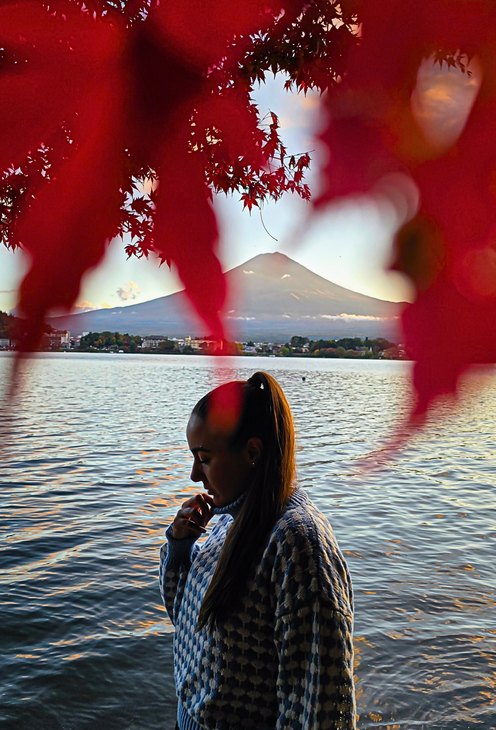 Mt Fuji