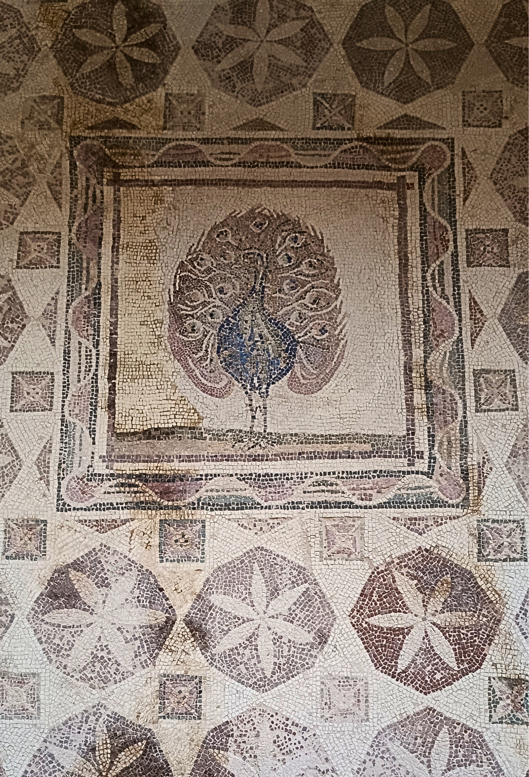 Paphos mosaics