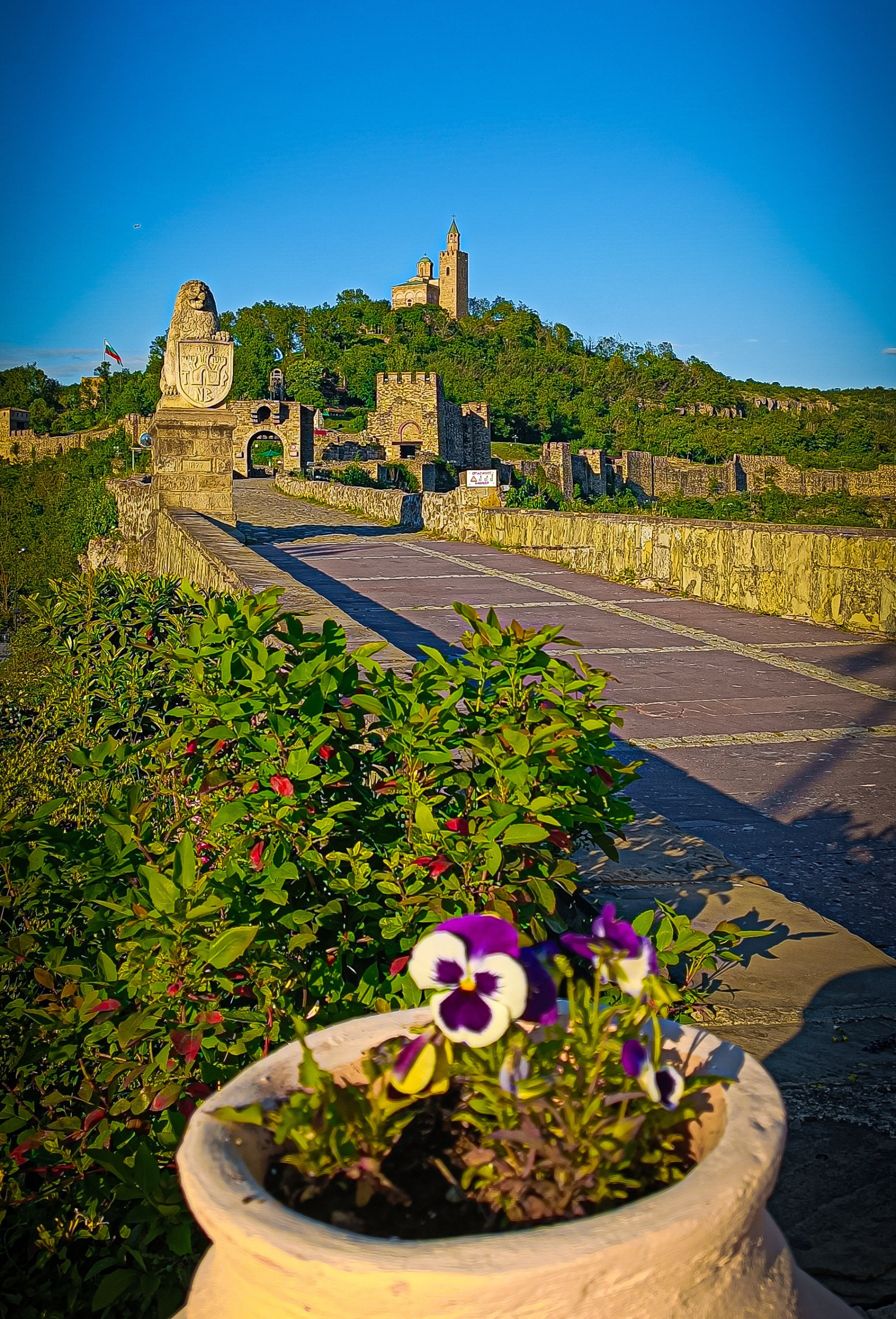 Veliko Tarnovo