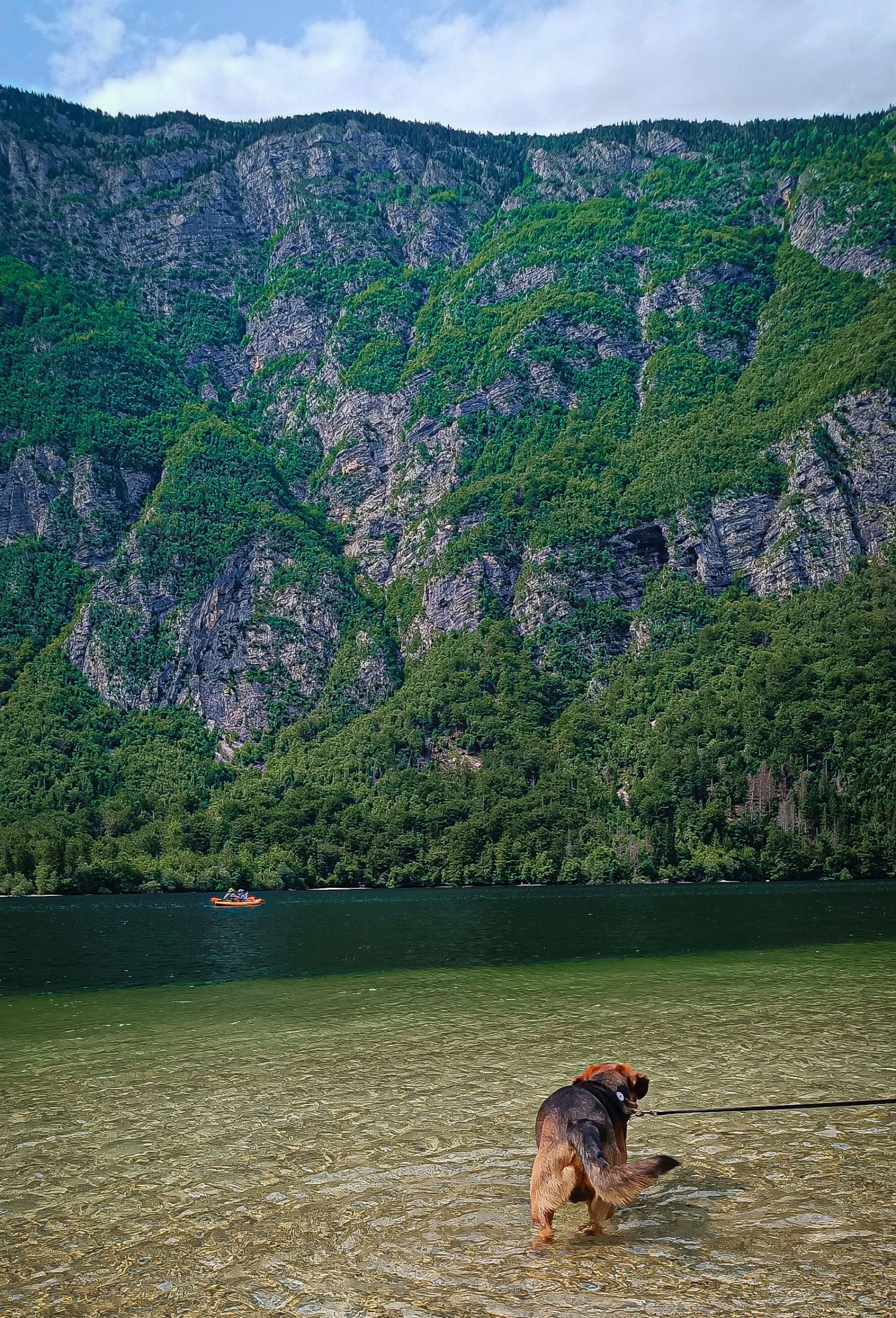 Lake Bohinj Lake Bohinj