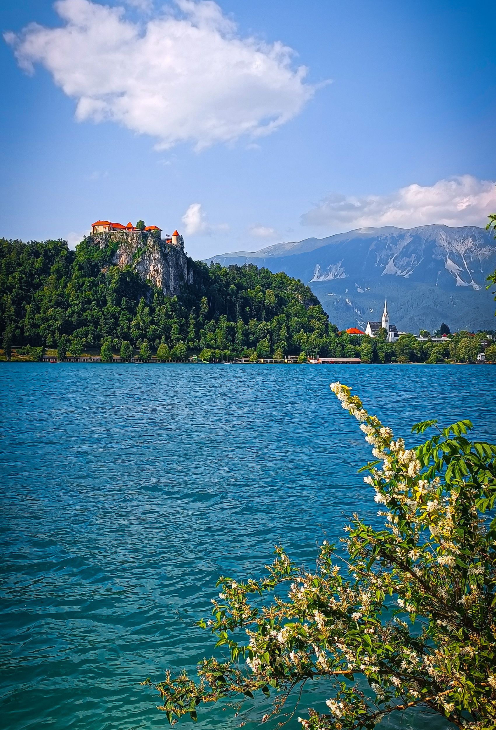 Bled Castle