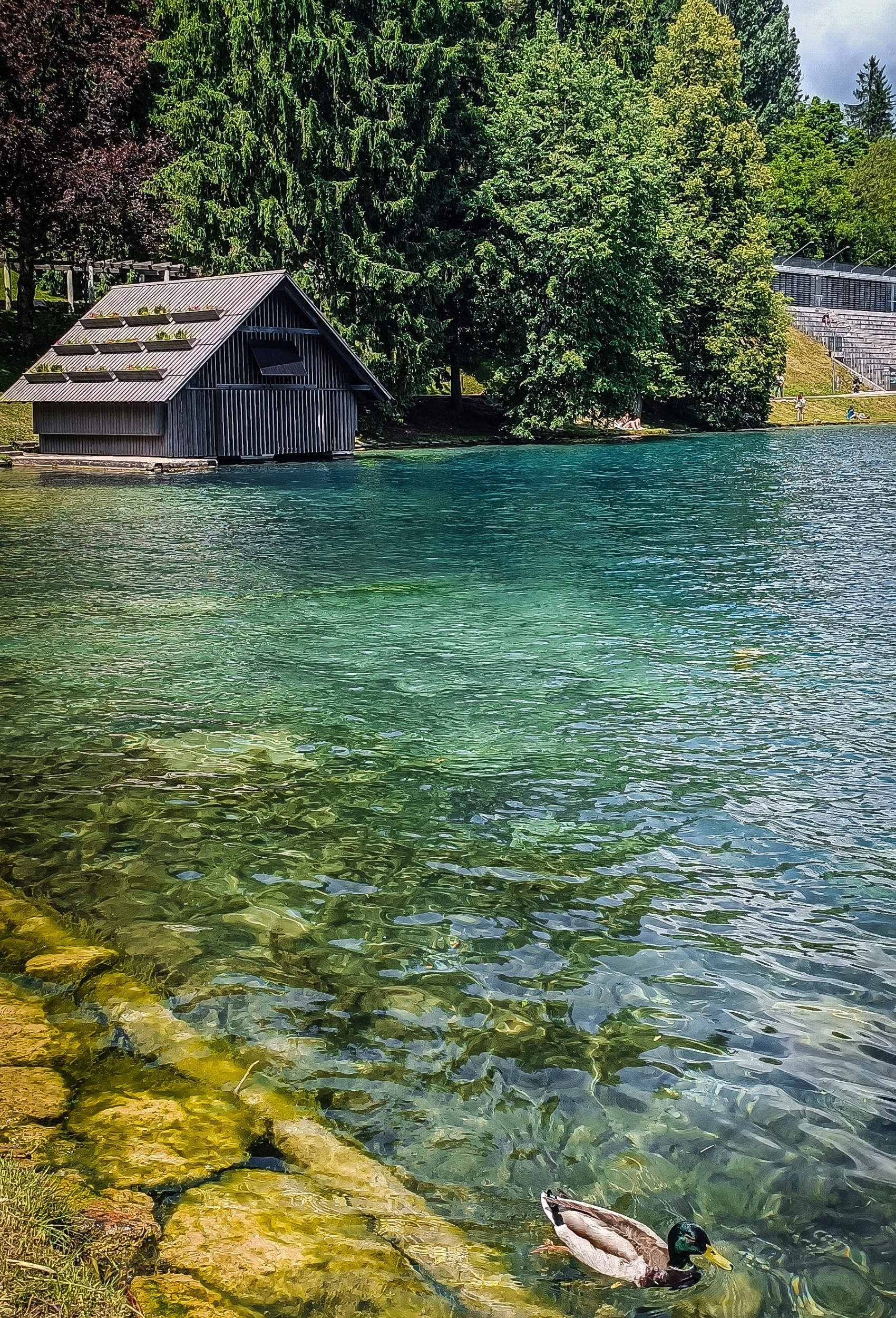Lake Bled Lake Bled