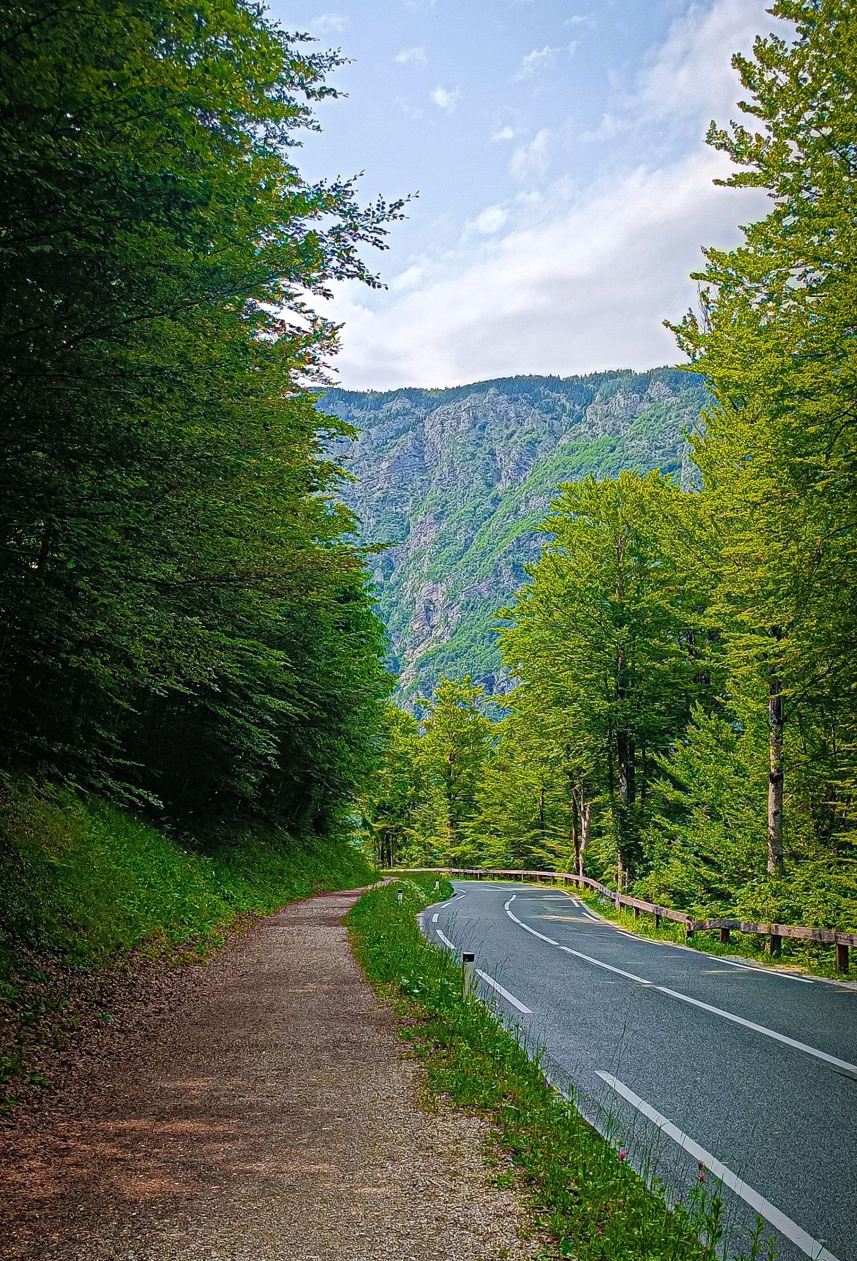 Lake Bohinj Lake Bohinj