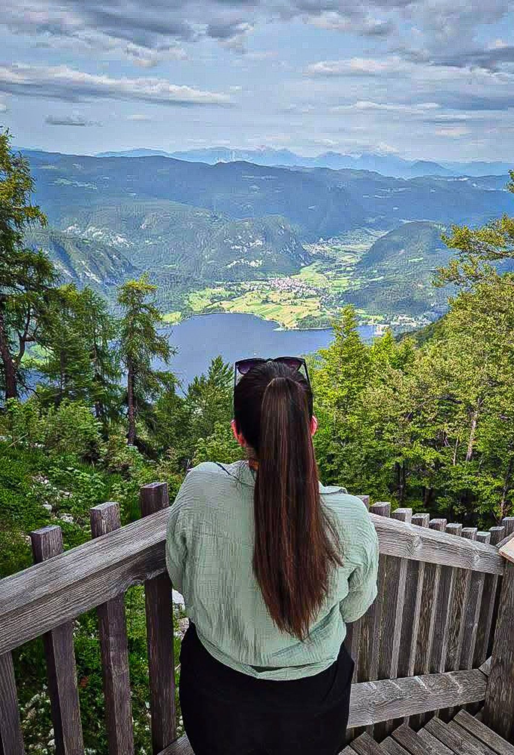 Vogel Cable Car
