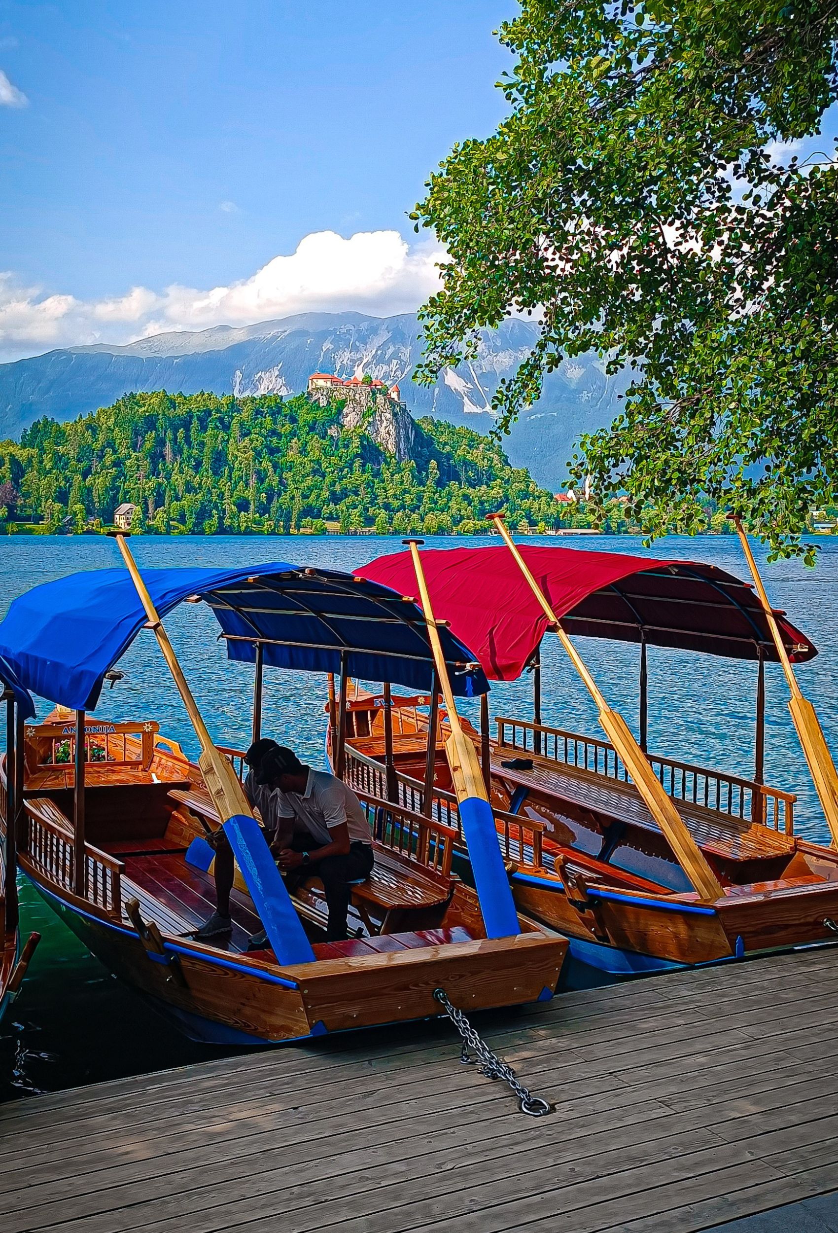 Bled Castle