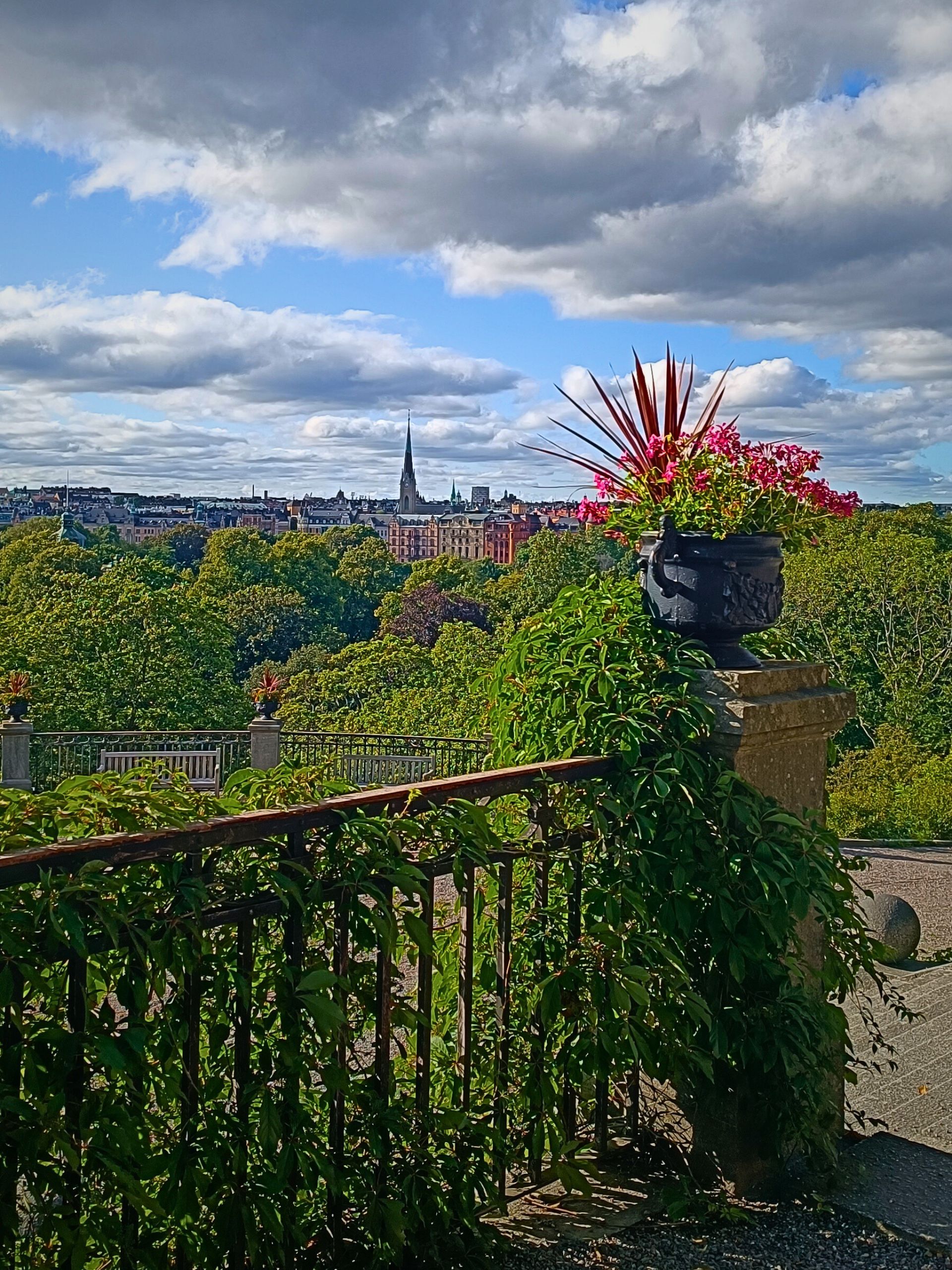 View from Skansen