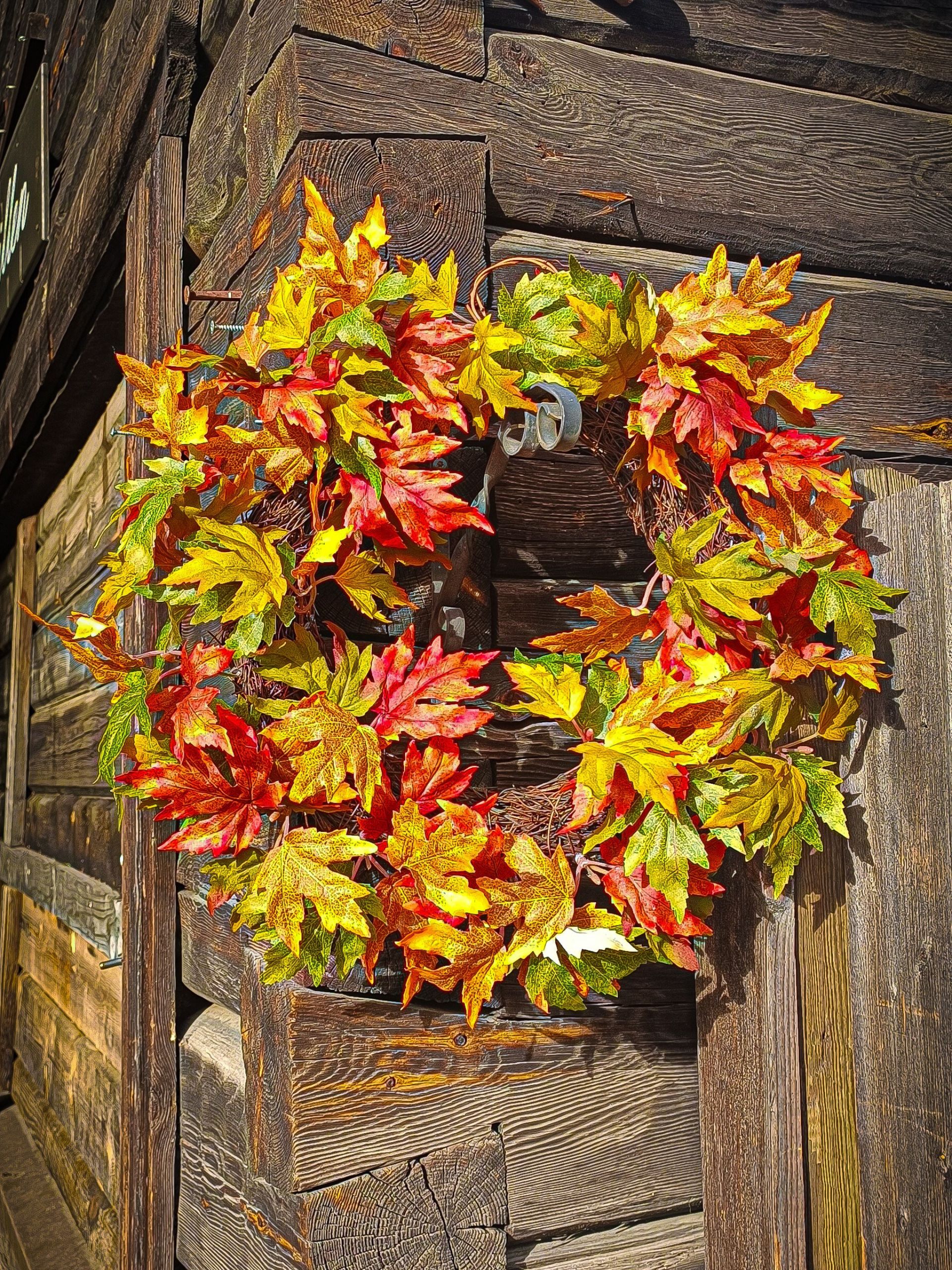 Autumn at skansen