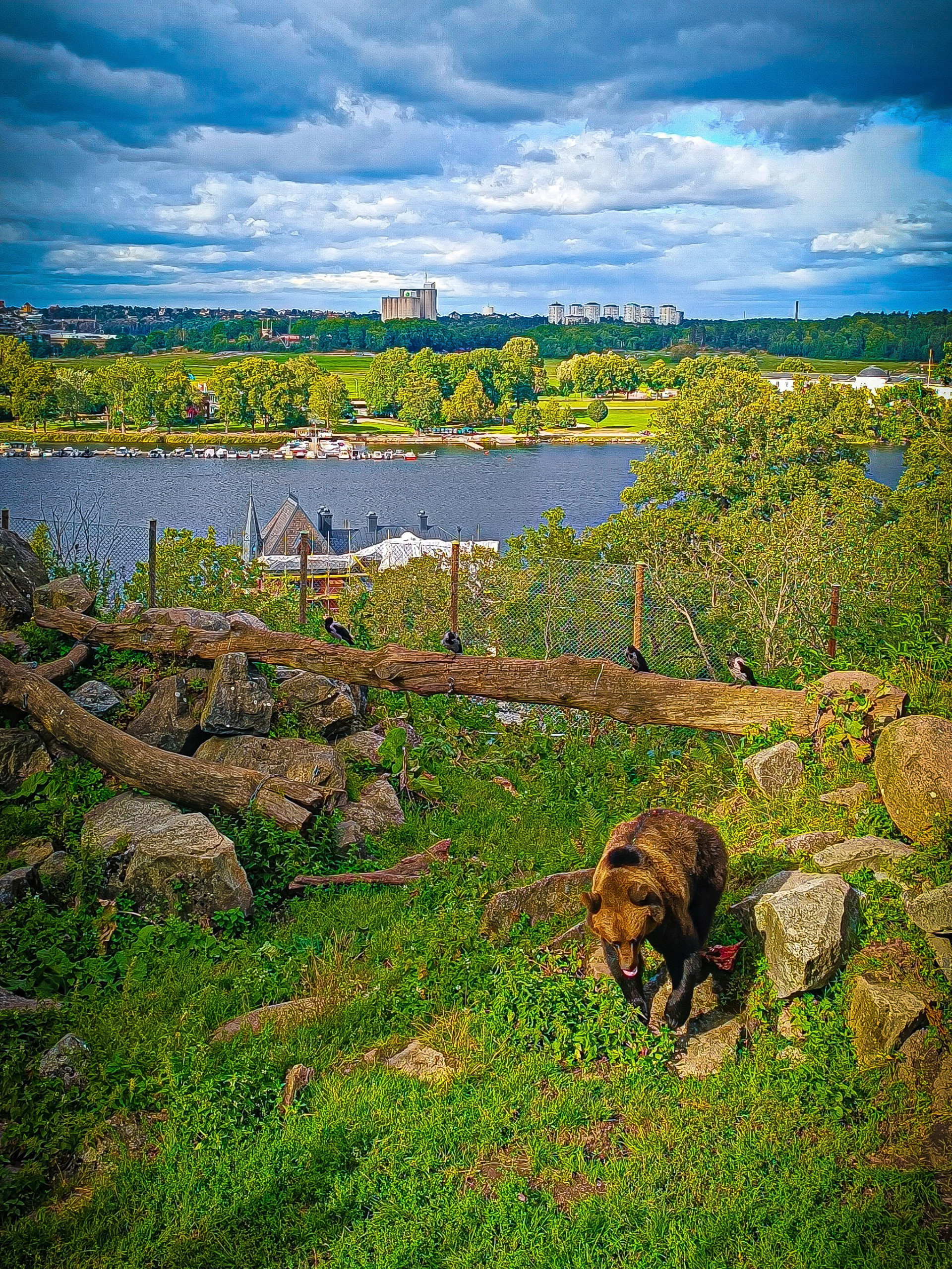 Nordic animals at Skansen