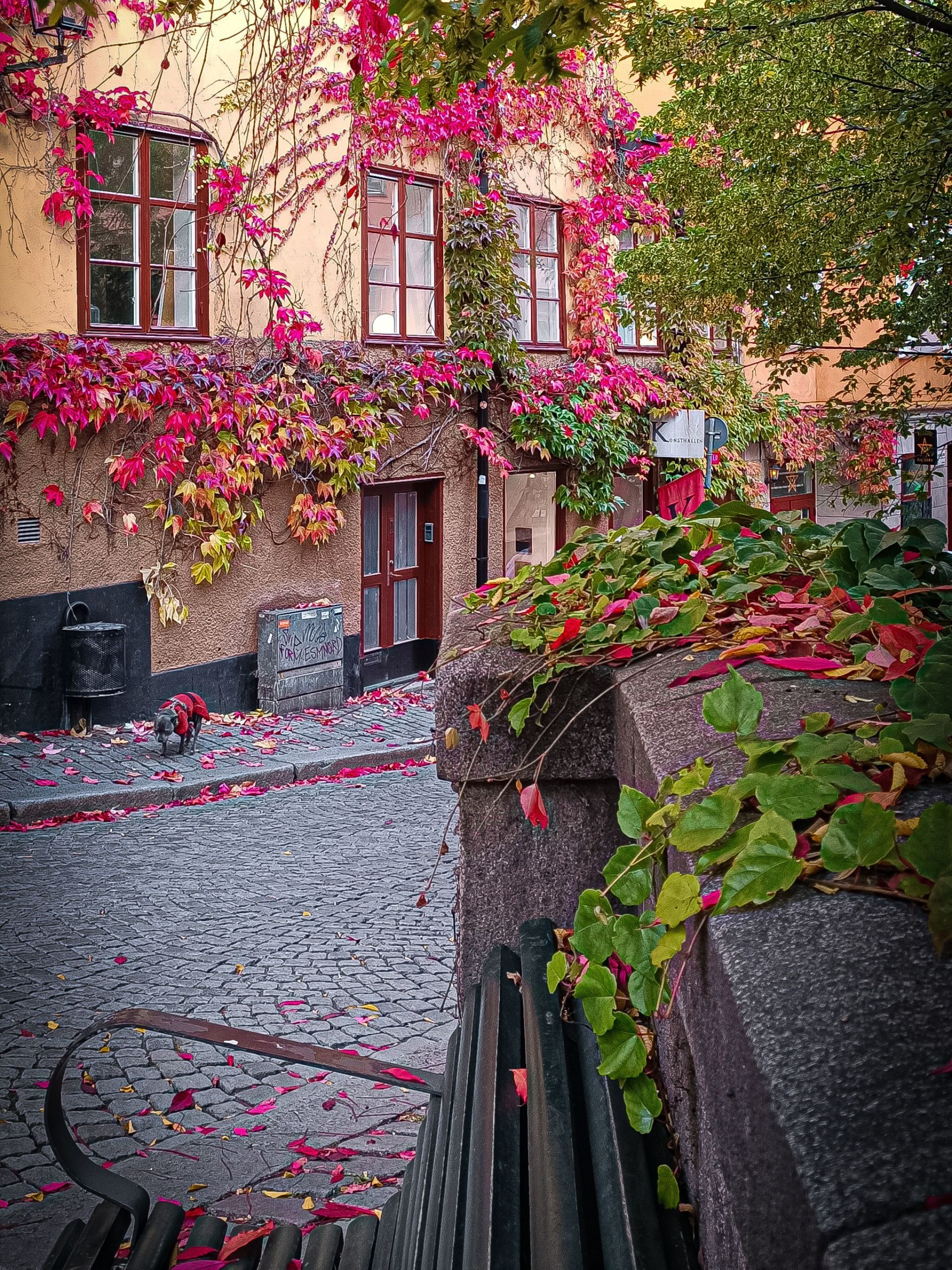 Untitled design - 2025-10-23T223548.237