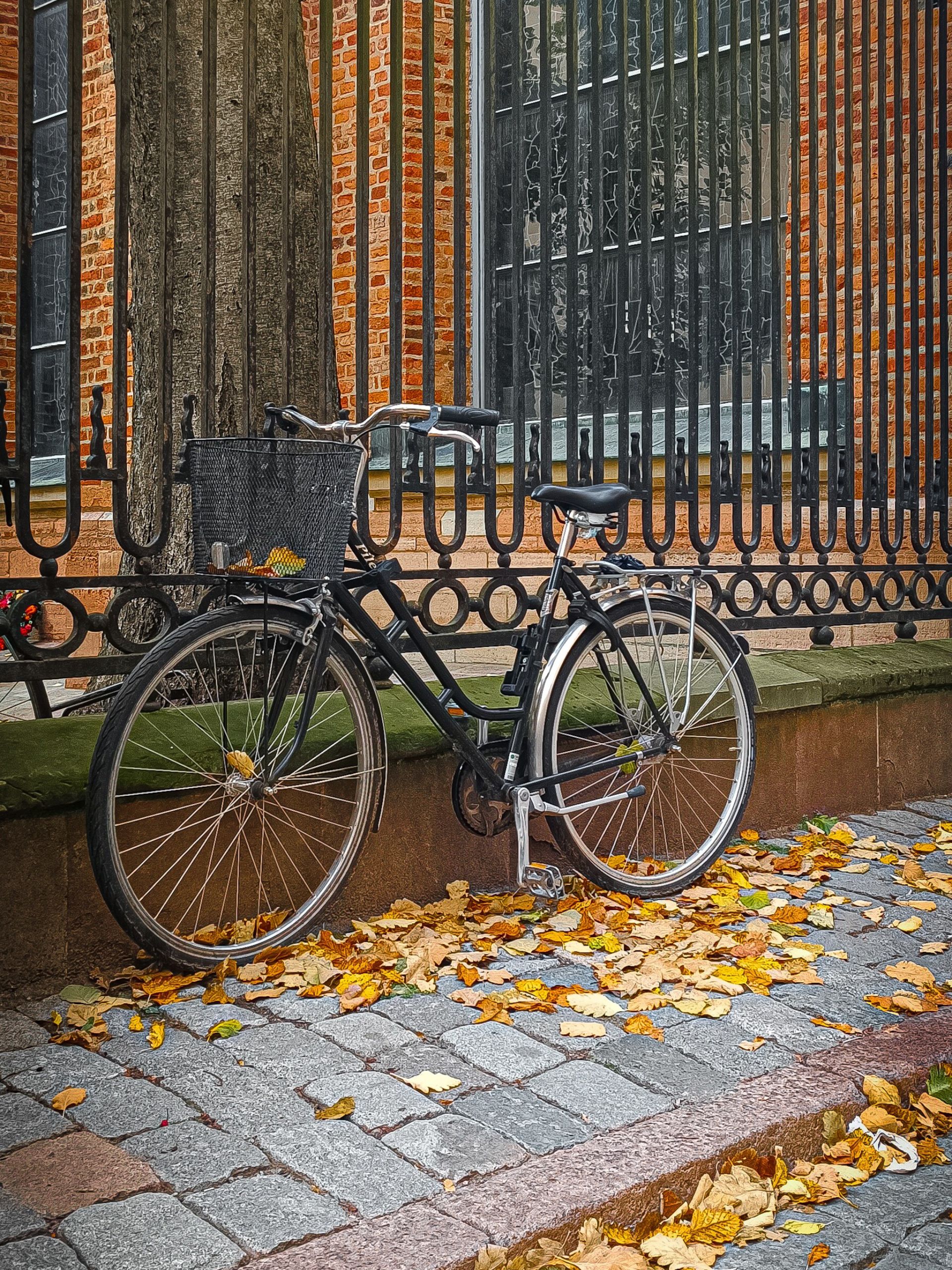 Autumn in Gamla Stan