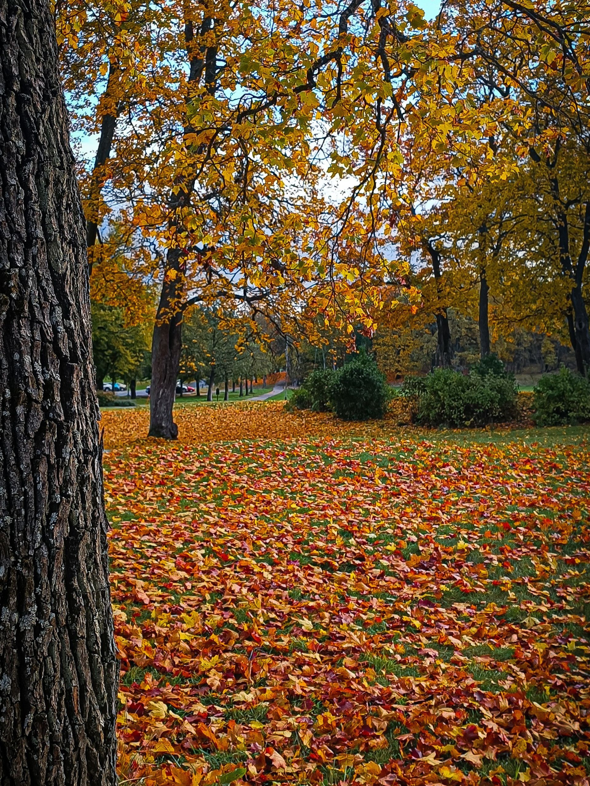 Djurgarden in Stockholm