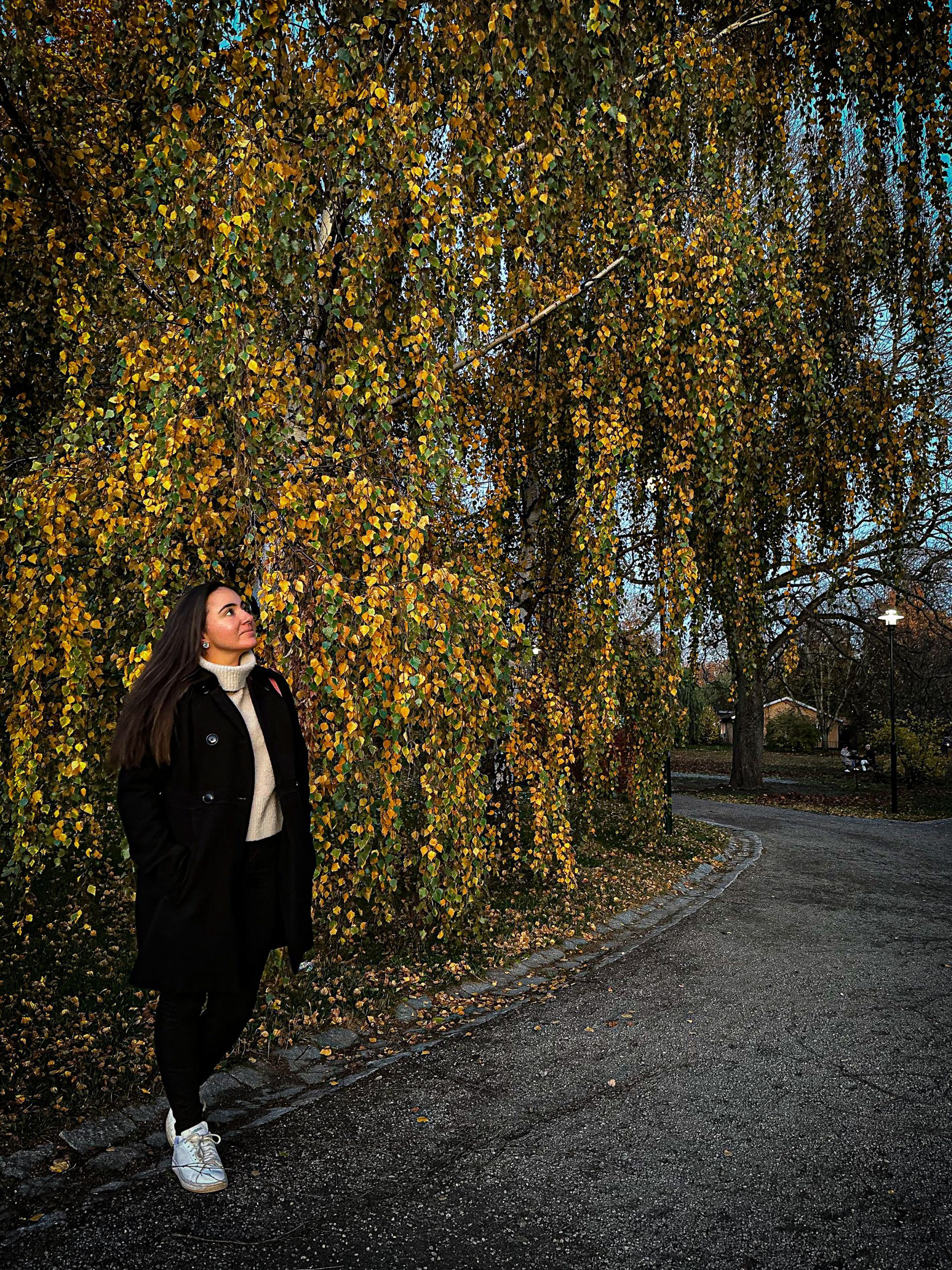 Djurgarden in Stockholm