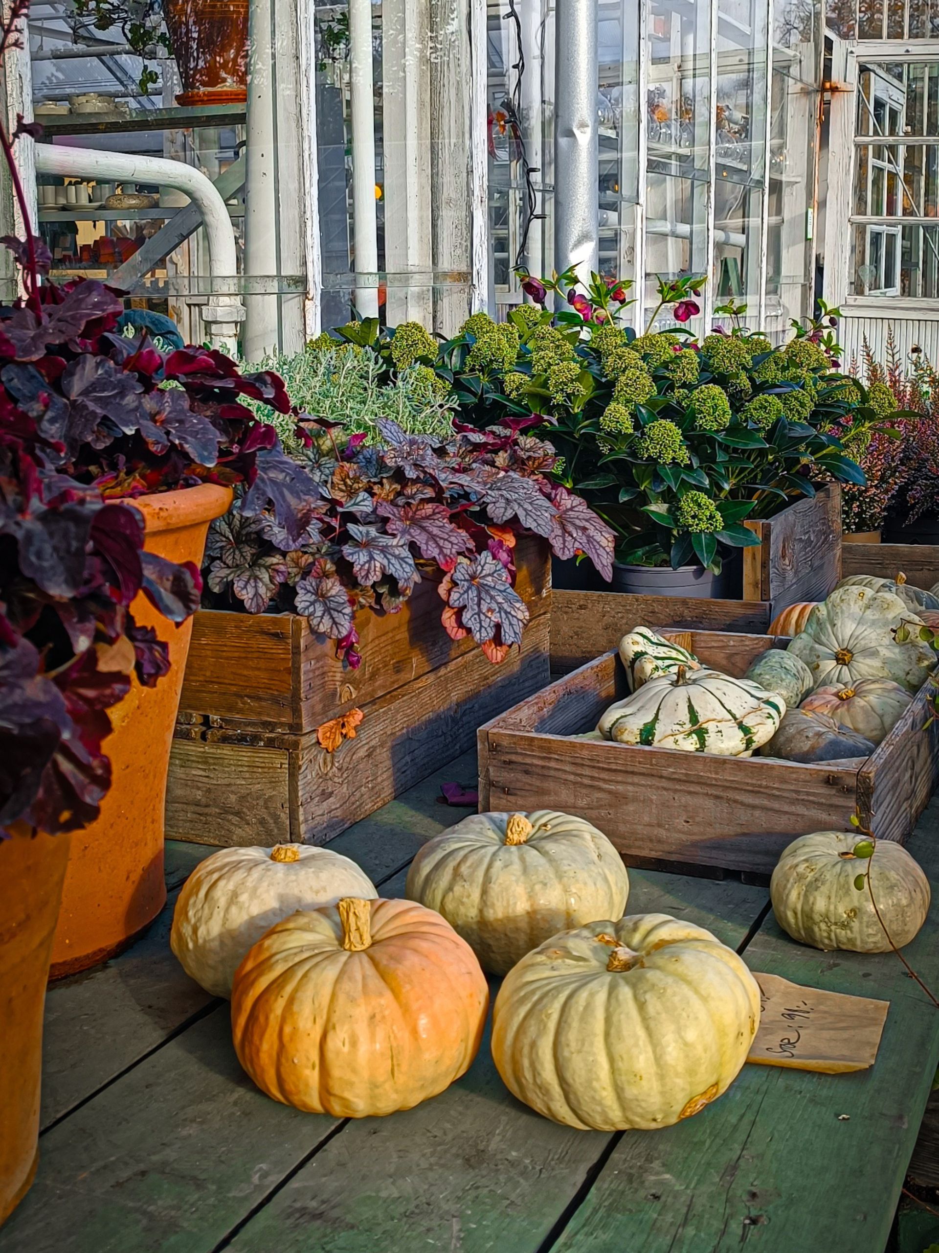 Rosendals Trädgård