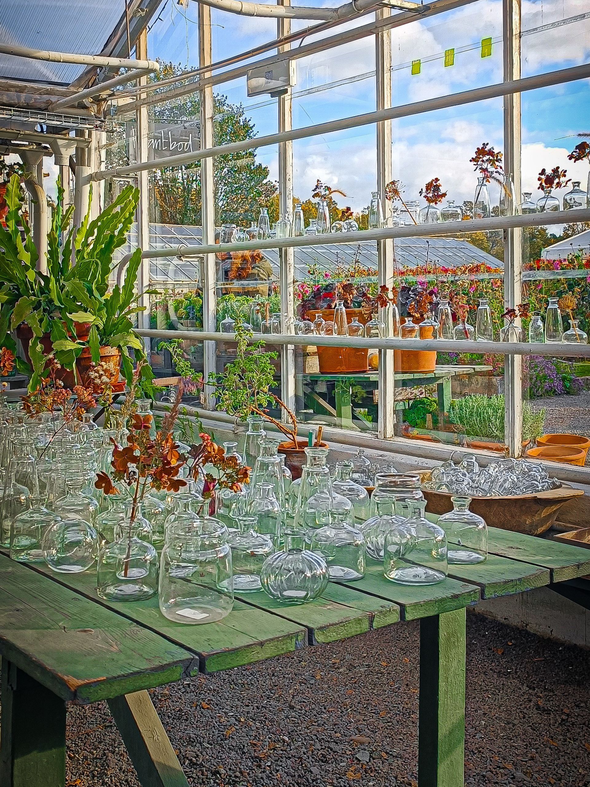 Rosendals Trädgård