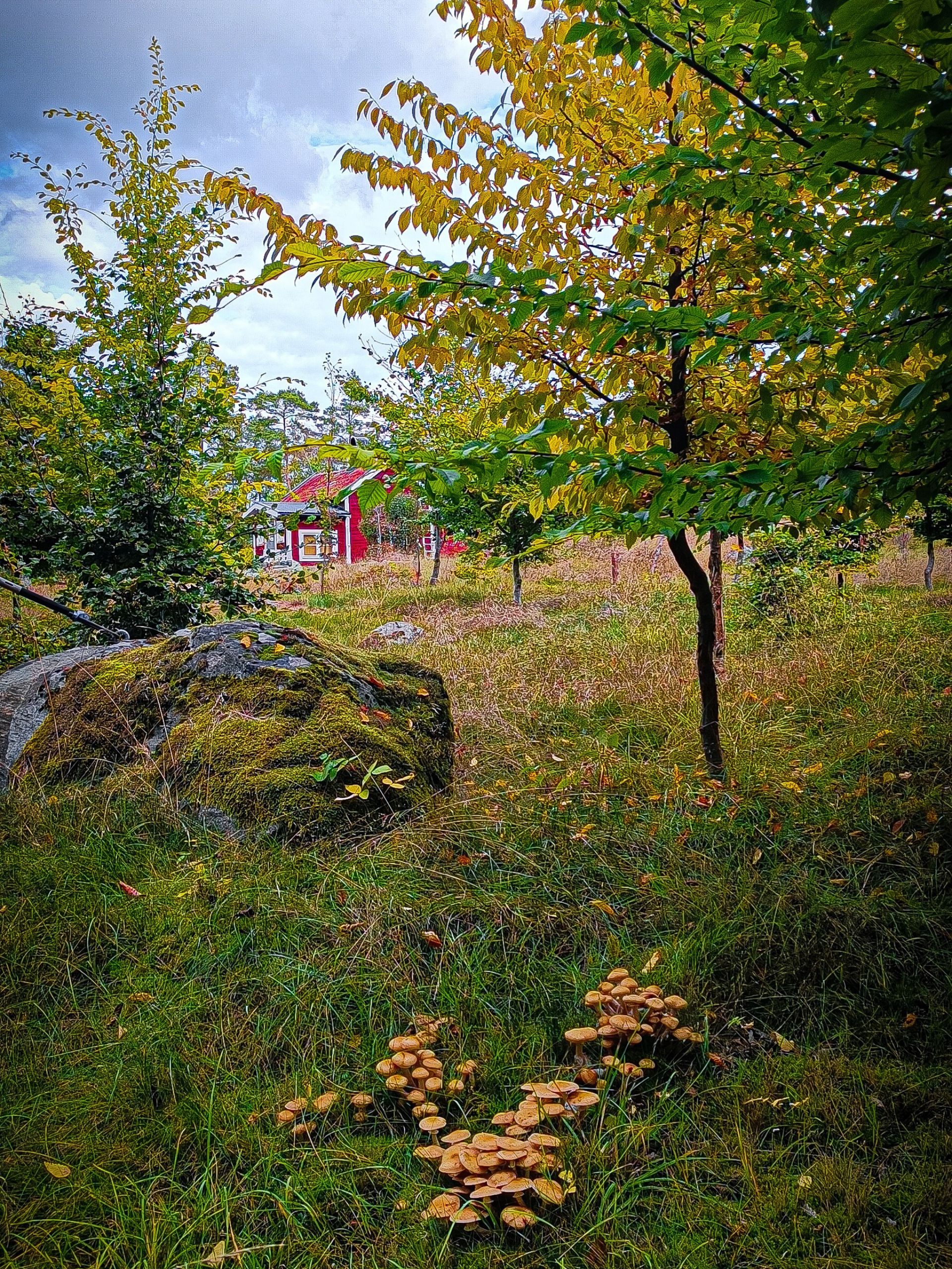 Stockholm archipelago