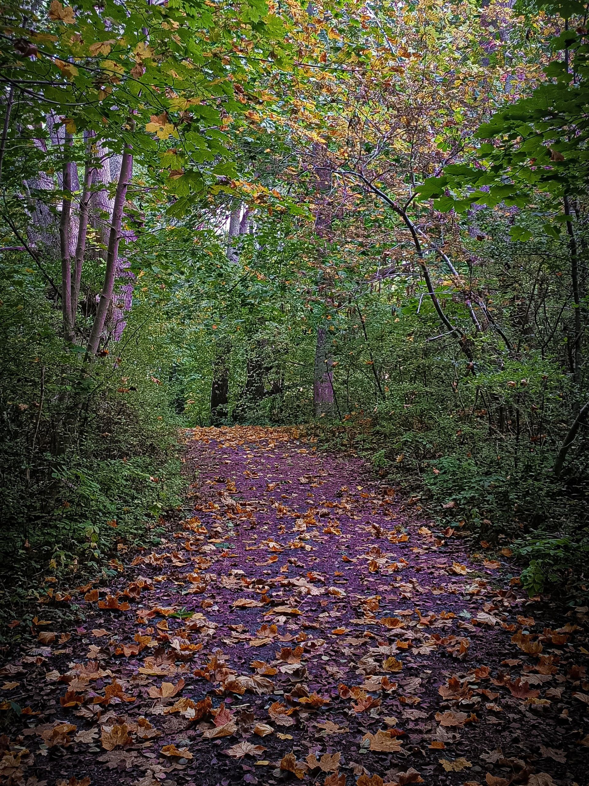Stockholm archipelago