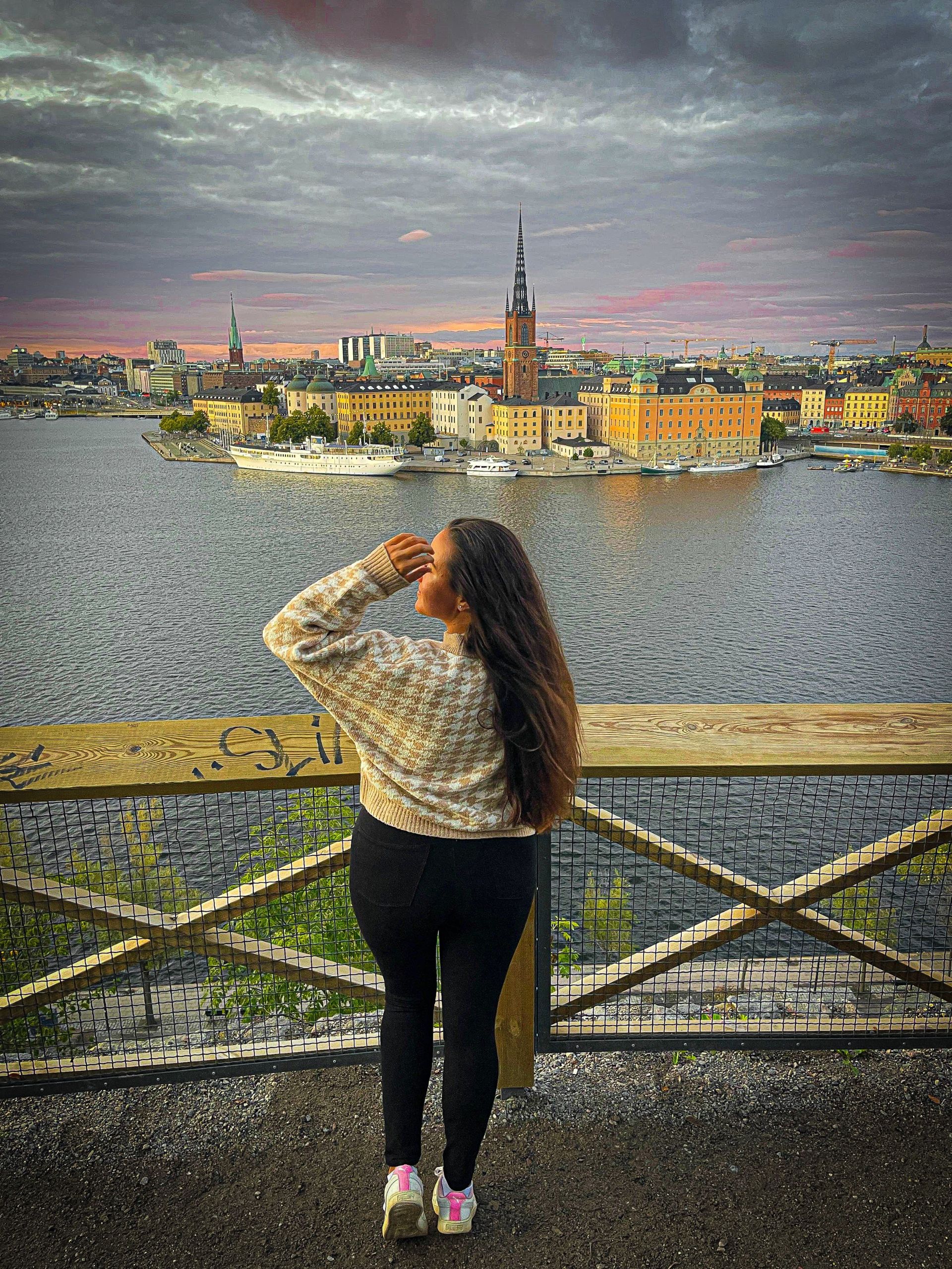 Monteliusvagen viewpoint