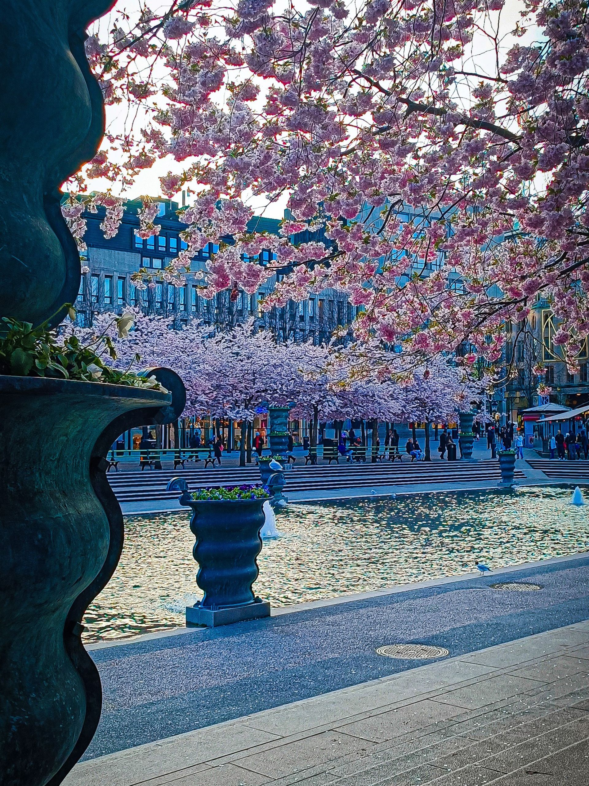 Kungsträdgården in april