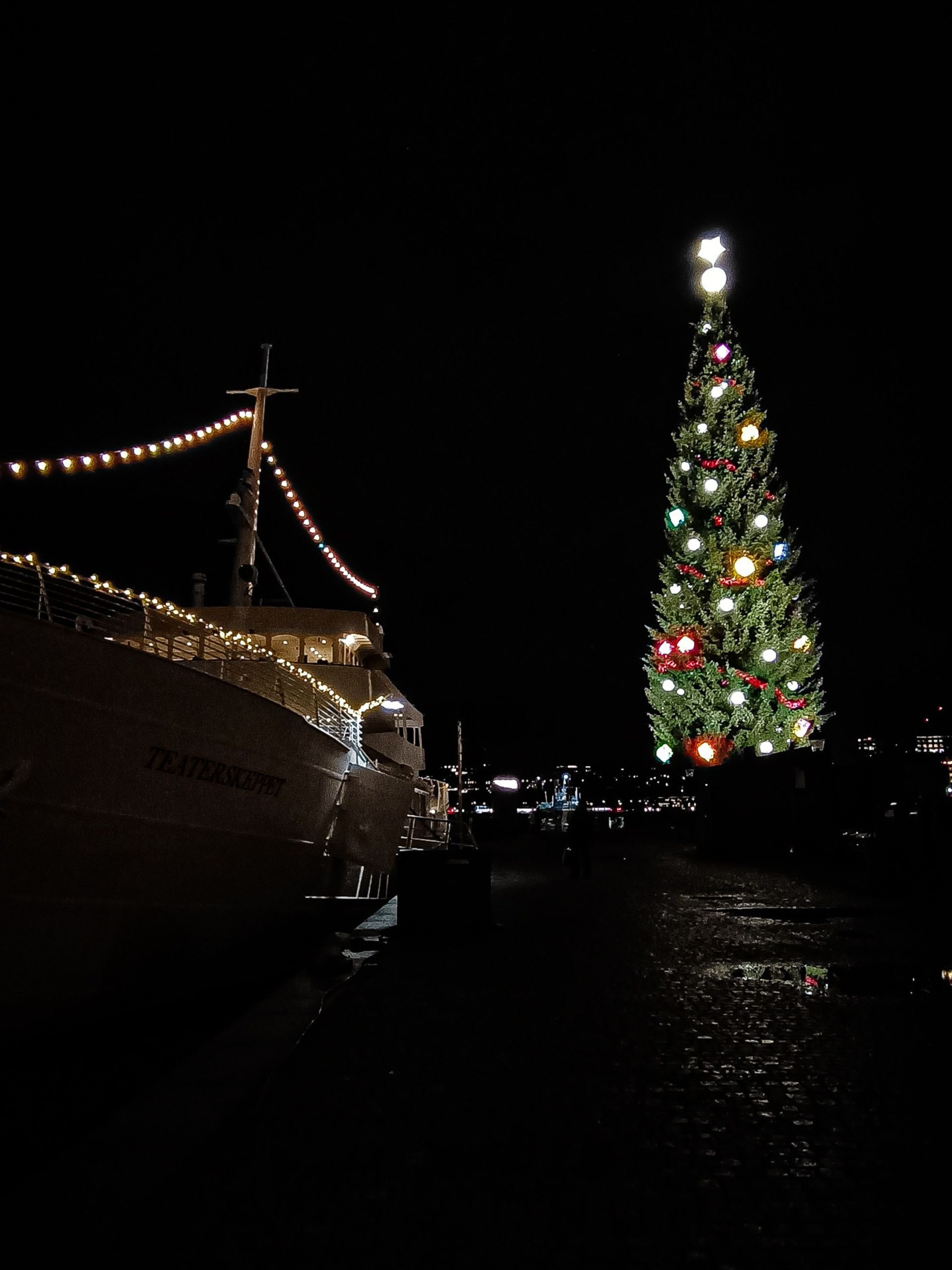 Christmas Tree in Stockholm