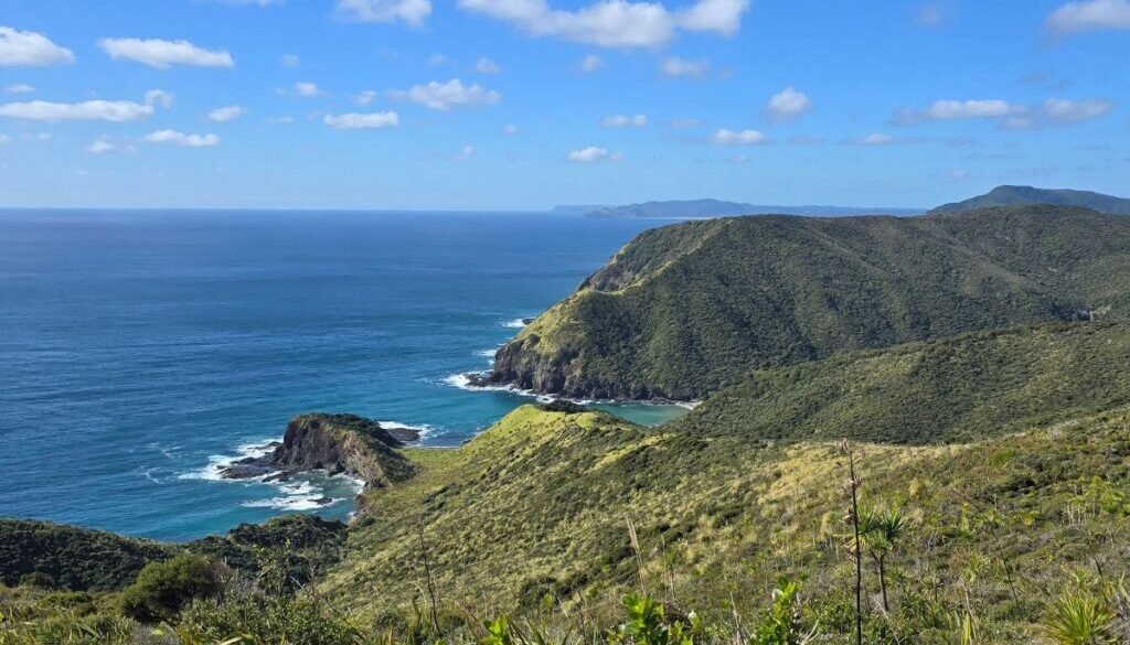 Cape Reinga Tour from Paihia