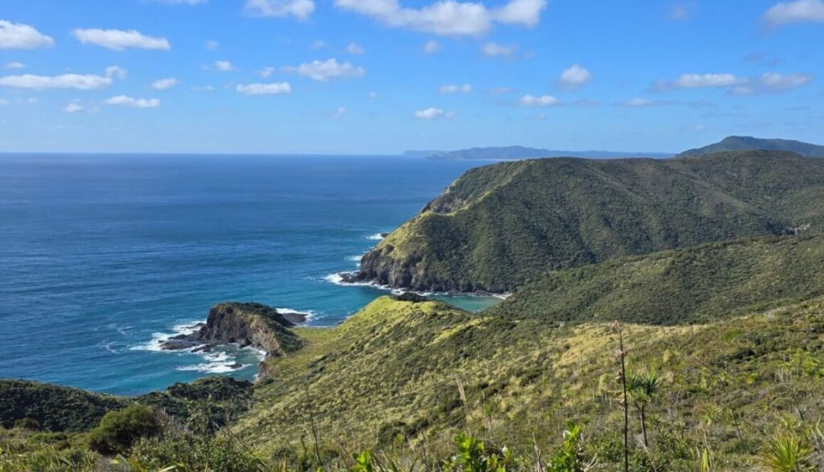 Cape Reinga Tour from Paihia