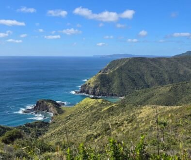 Cape Reinga Tour from Paihia