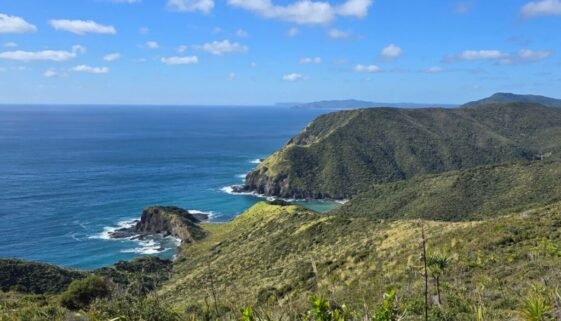 Cape Reinga Tour from Paihia