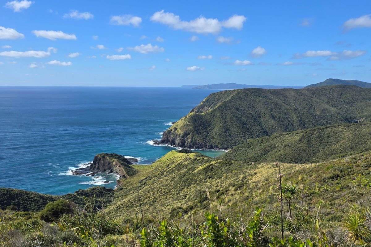 Cape Reinga Tour from Paihia