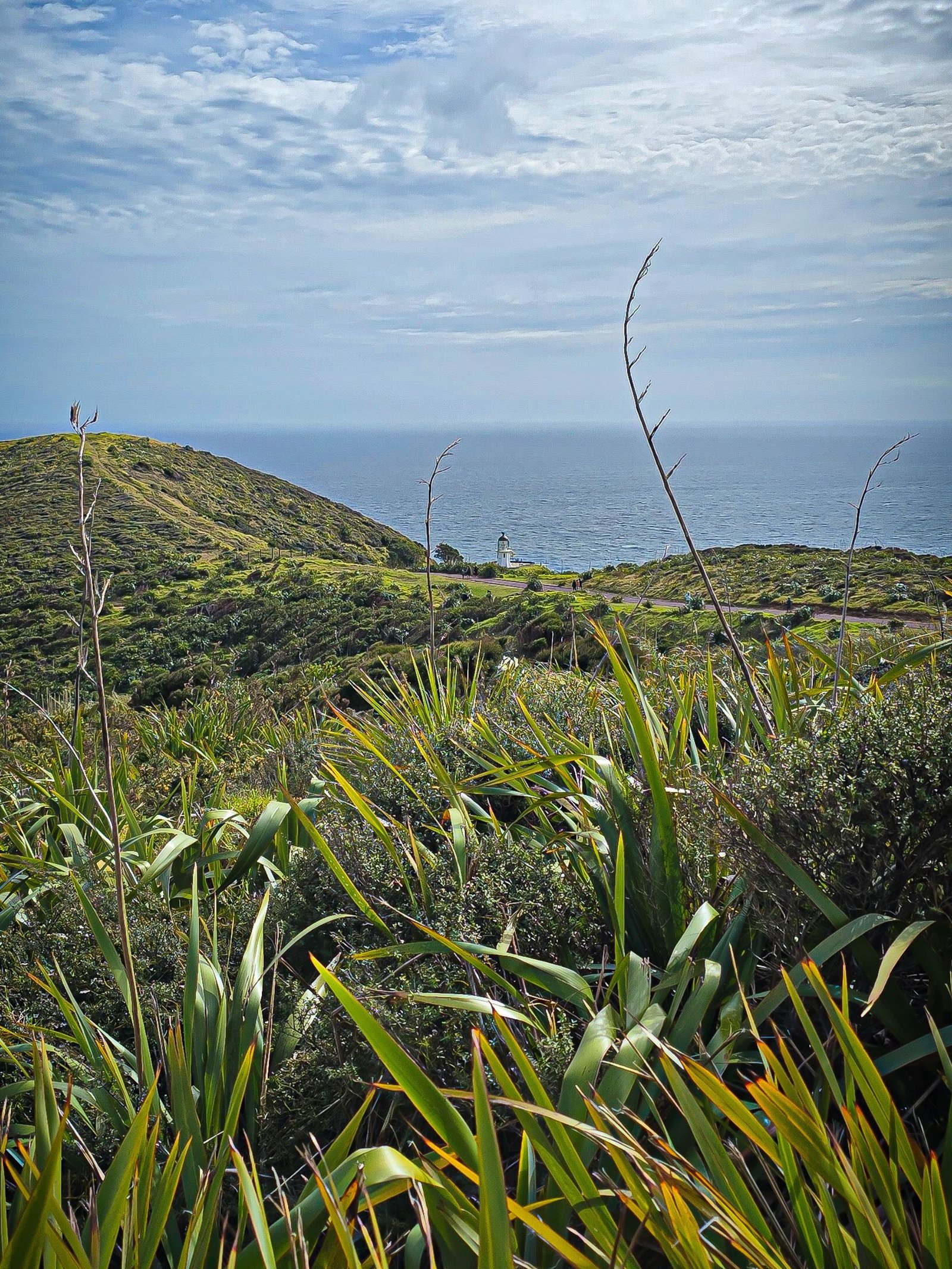 Cape Reinga