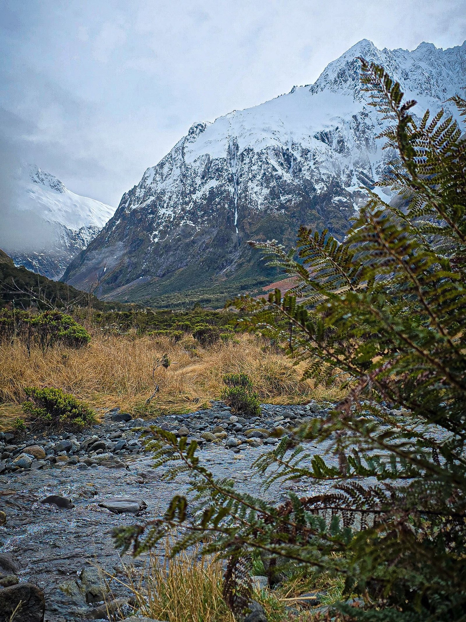 Fiordland National Park