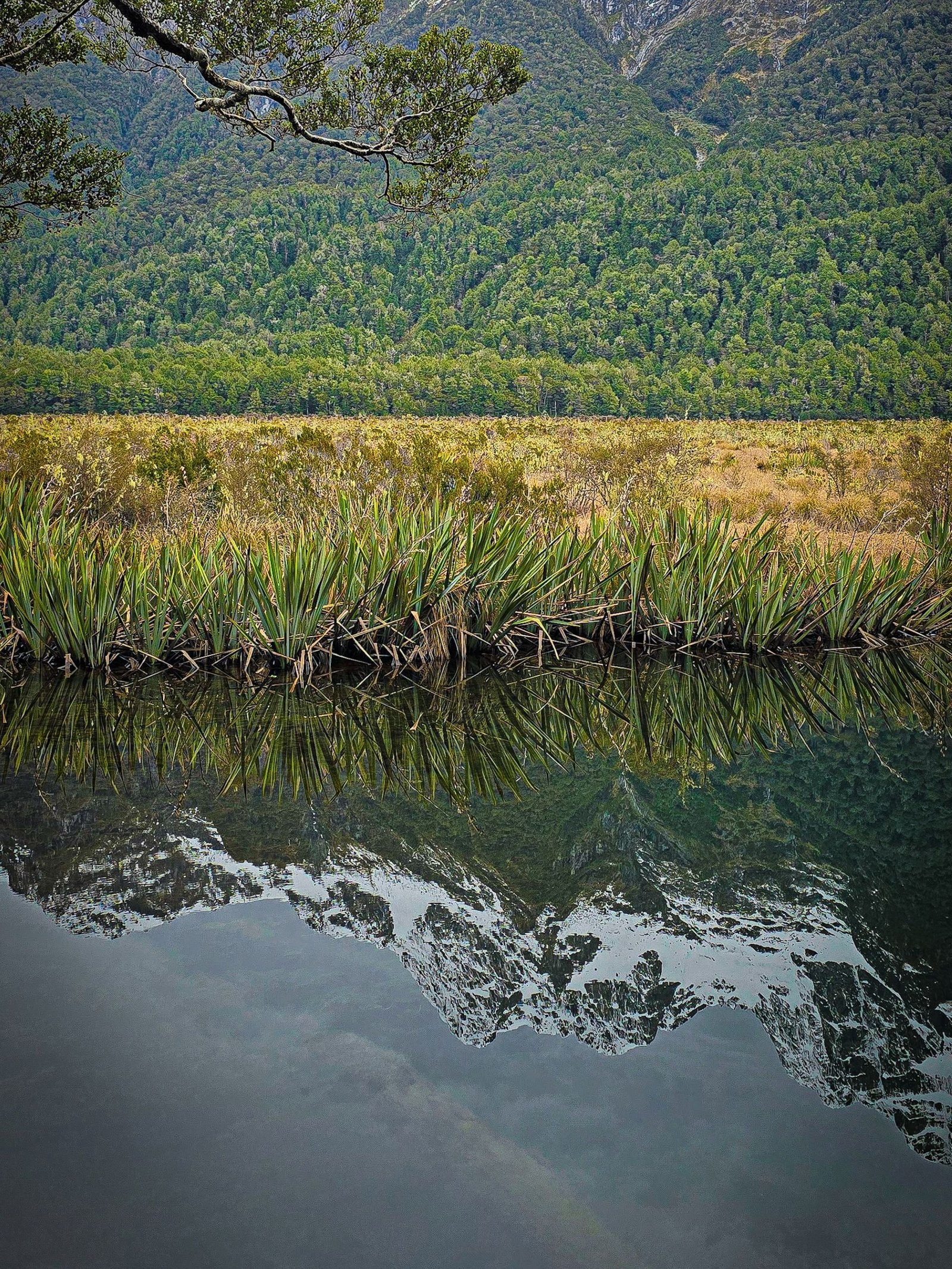 Mirror Lakes