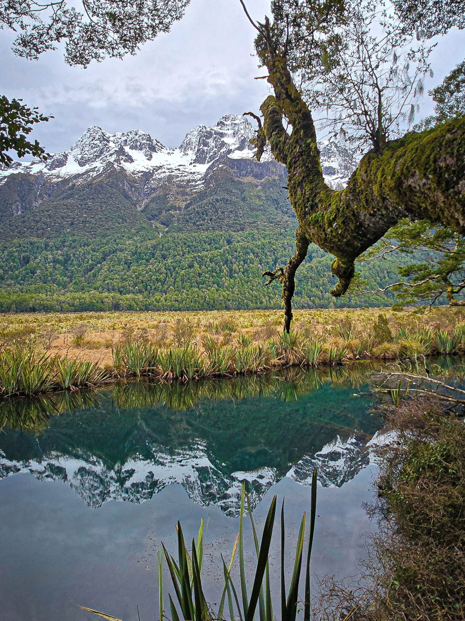 Mirror Lakes