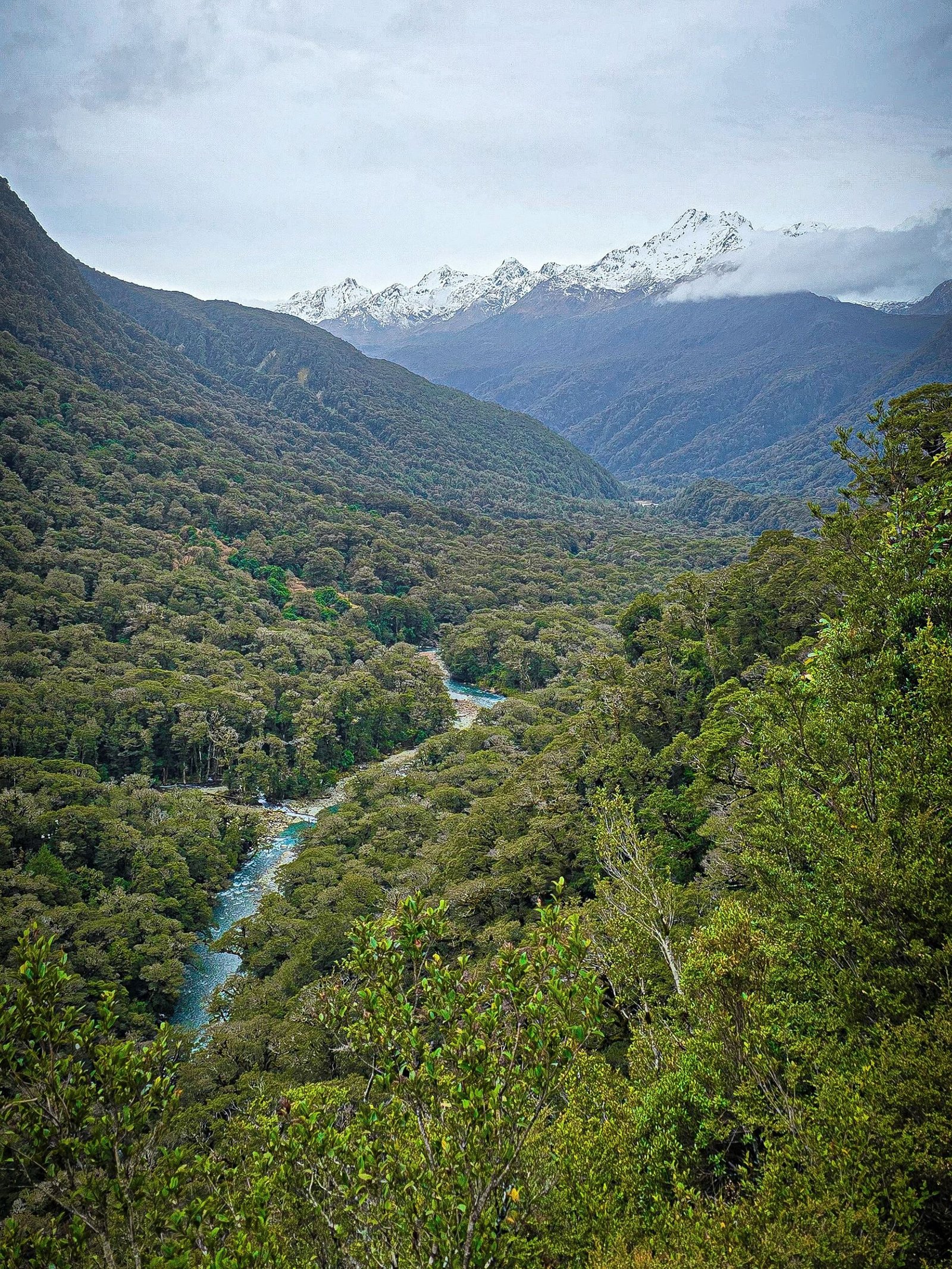 Fiordland National Park