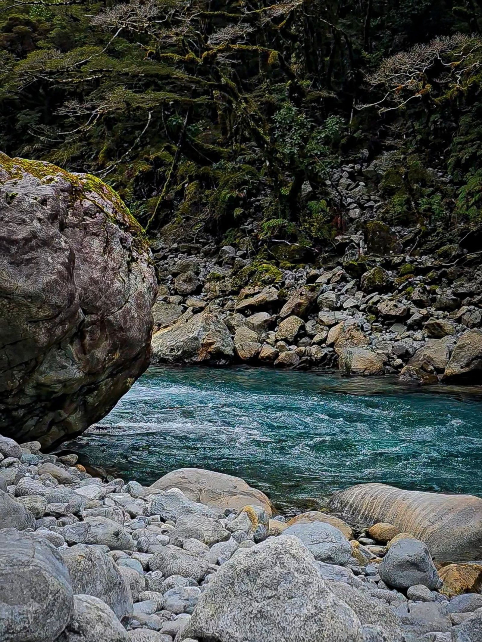 Fiordland National Park