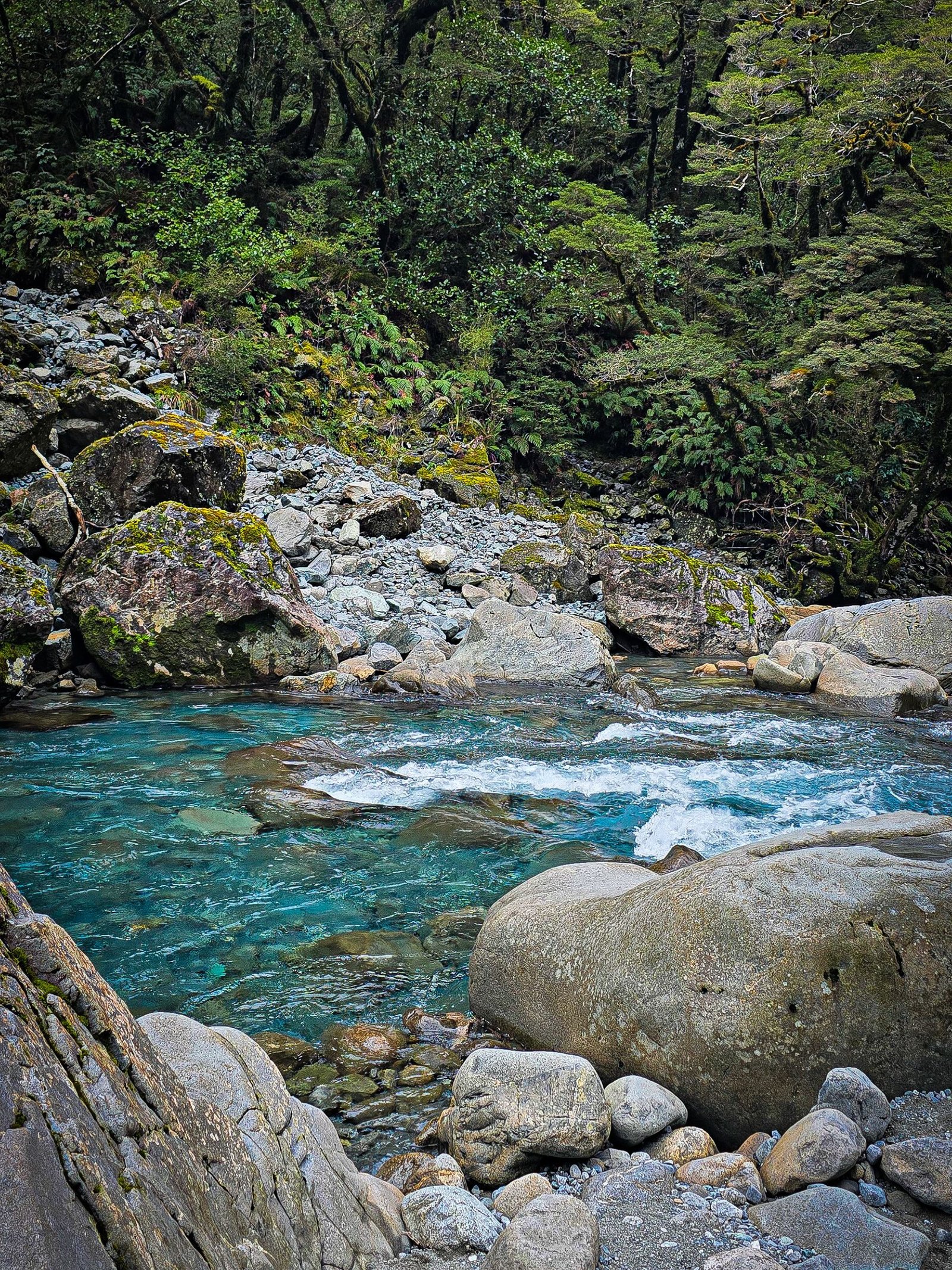 Fiordland National Park
