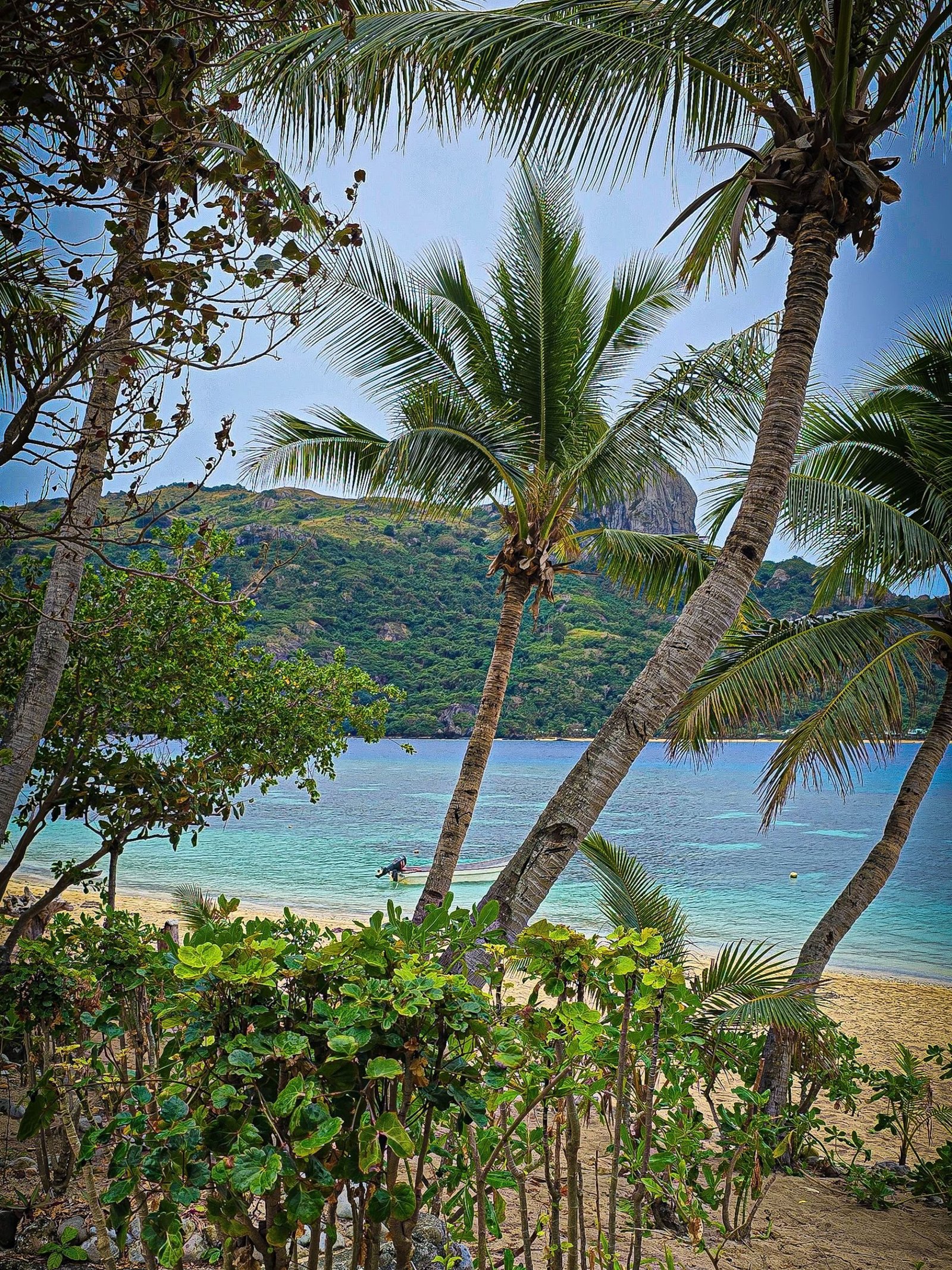 Barefoot Kuata in Fiji